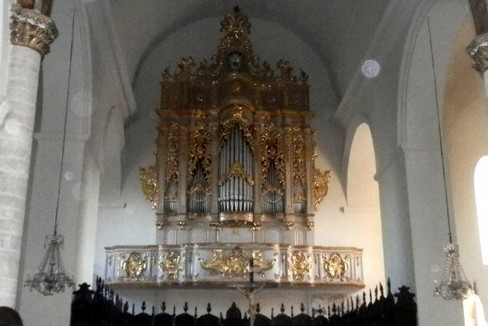 organo cattedrale