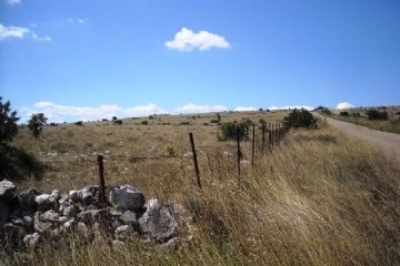 parco alta murgia