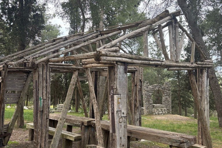 pineta criticità - cittadini attivi