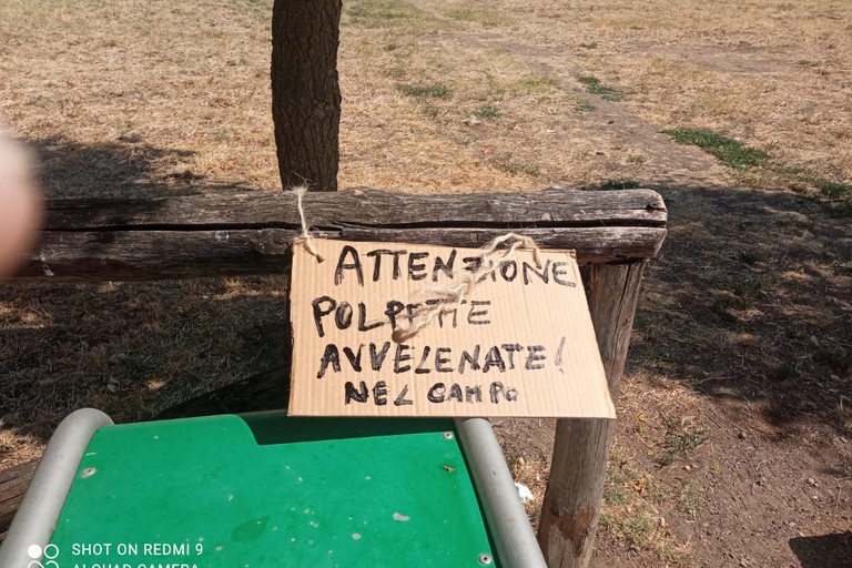 polpette avvelenate parco via alfieri