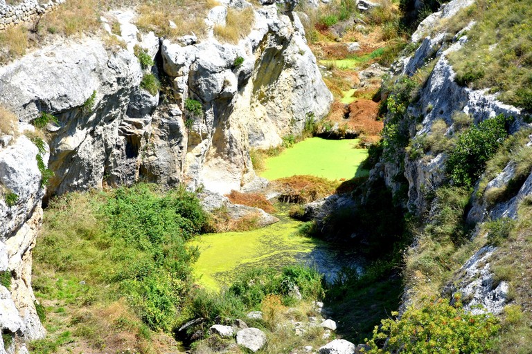 Torrente Gravina verde