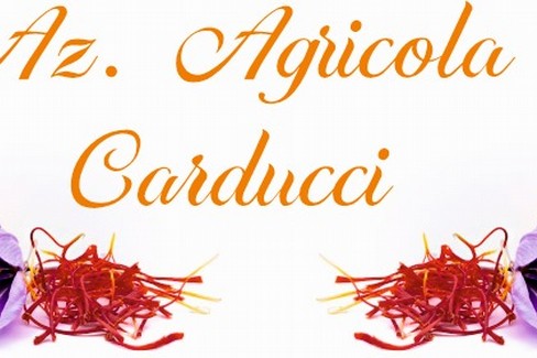 redazionale f.lli carducci