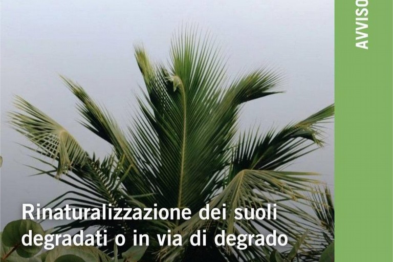 rinaturalizzazione suoli degradati