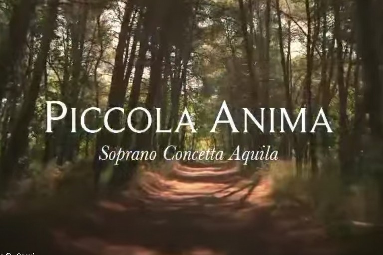 25 novembre, Giornata internazionale contro la violenza sulle donne