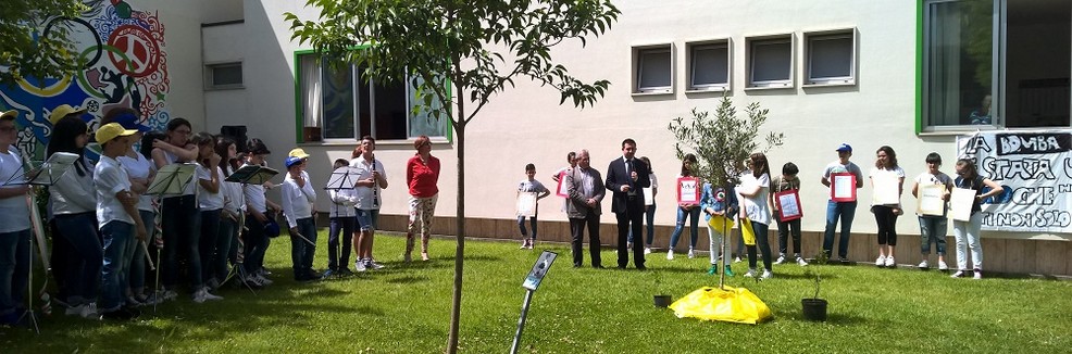 Un albero per ricordare - Montemurro