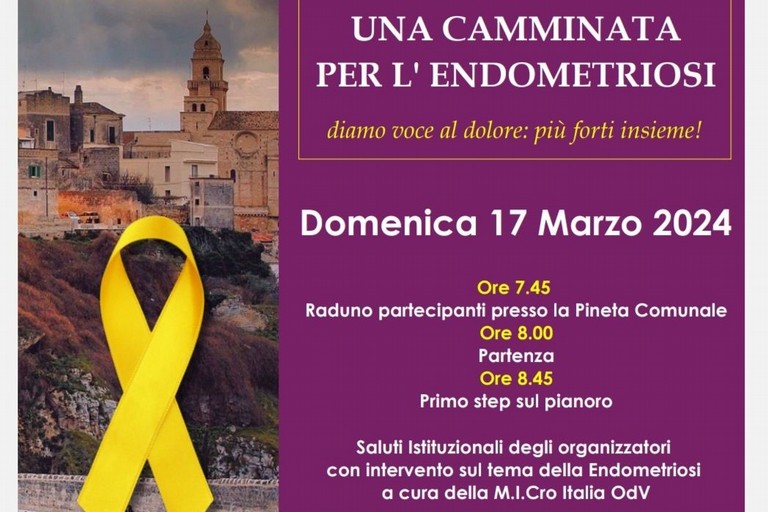 camminata endometriosi -Locandina