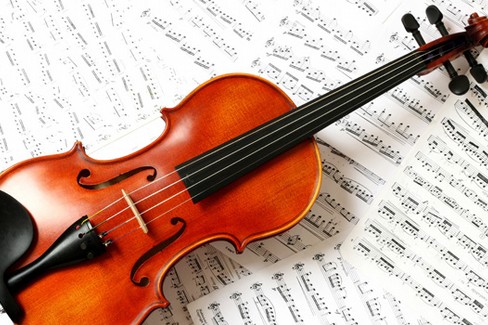 violino