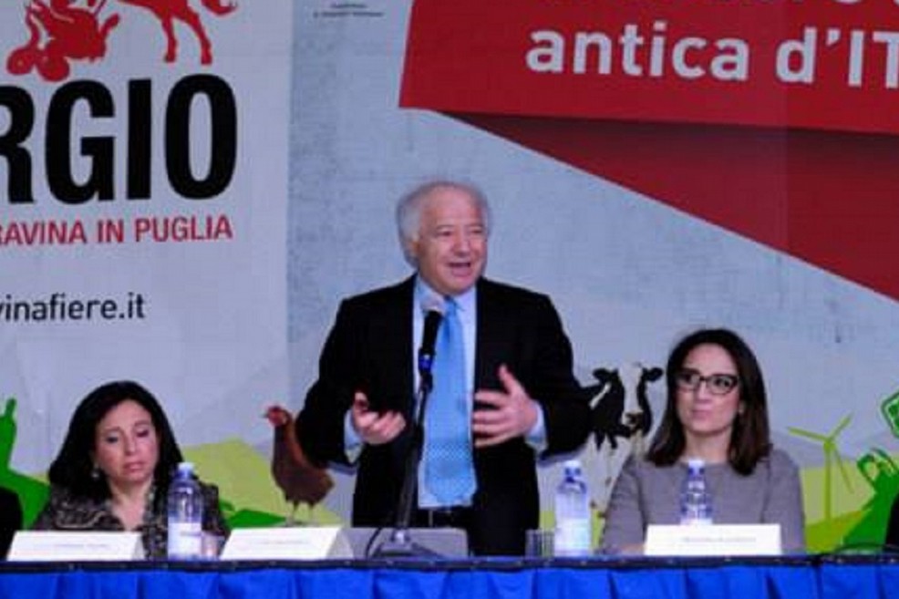 vito amendolara